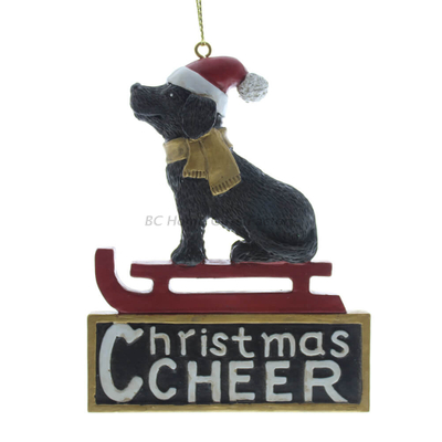 Personlized 3D Dog and Chritmas Gifts Box Ornament